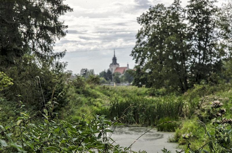 Okienko wśród zarośli
