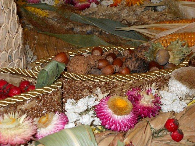 Szalupy ratunkowe