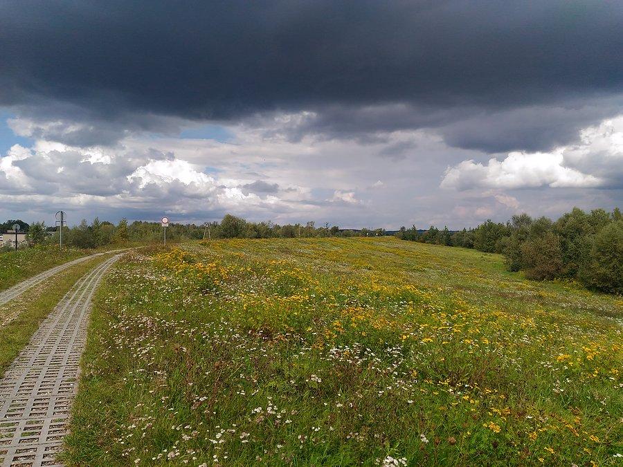 Na wałach Polderu Buków