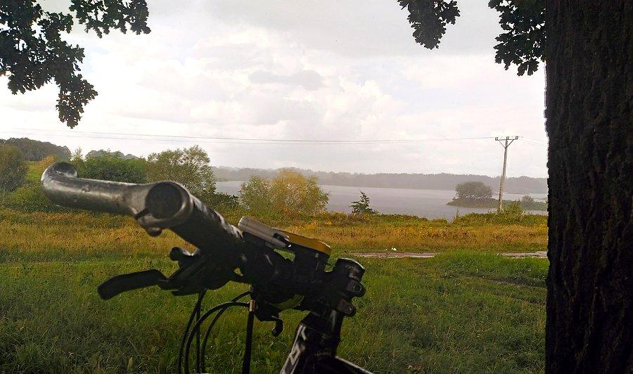 Stoję pod drzewem, pada deszcz