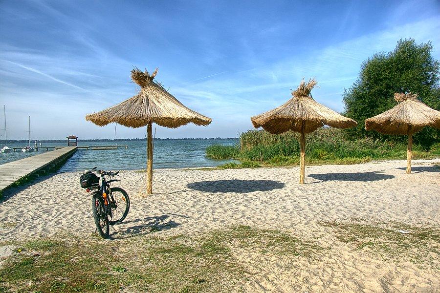 Przerwa w Wierzbnie