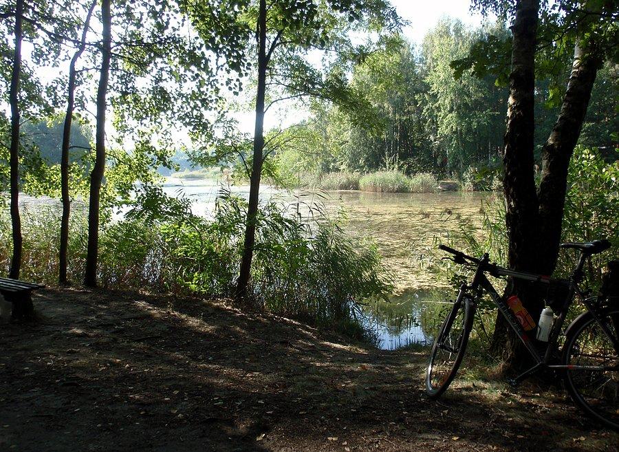 Jezioro Turawskie Średnie
