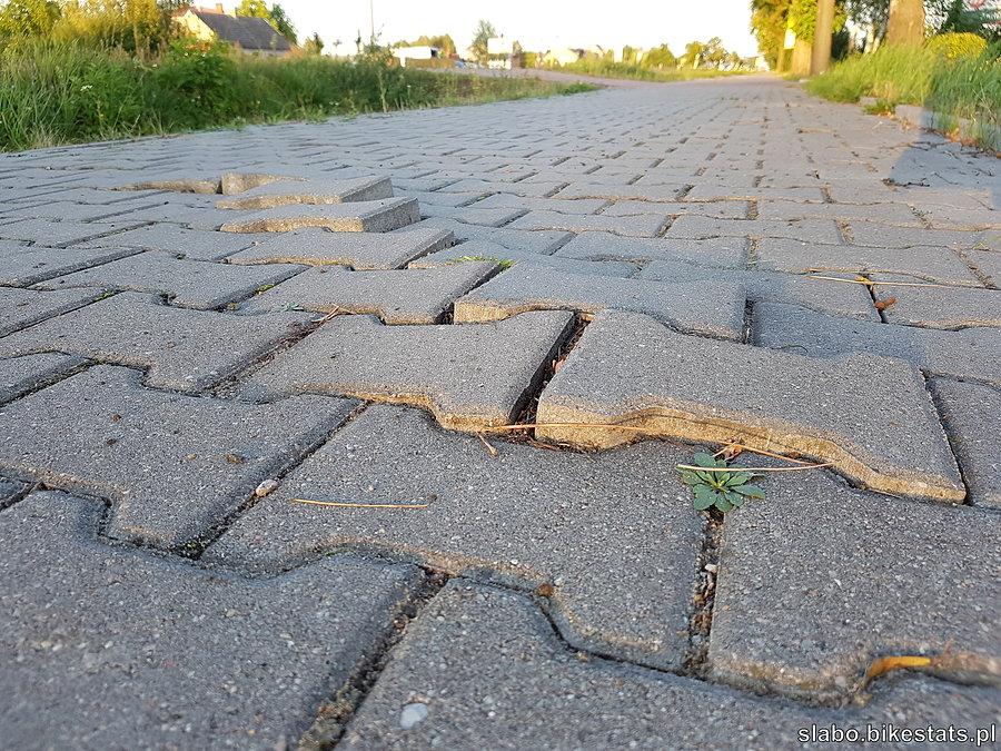 Śmieszka rowerowa między Zduńską Wolą a Sieradzem