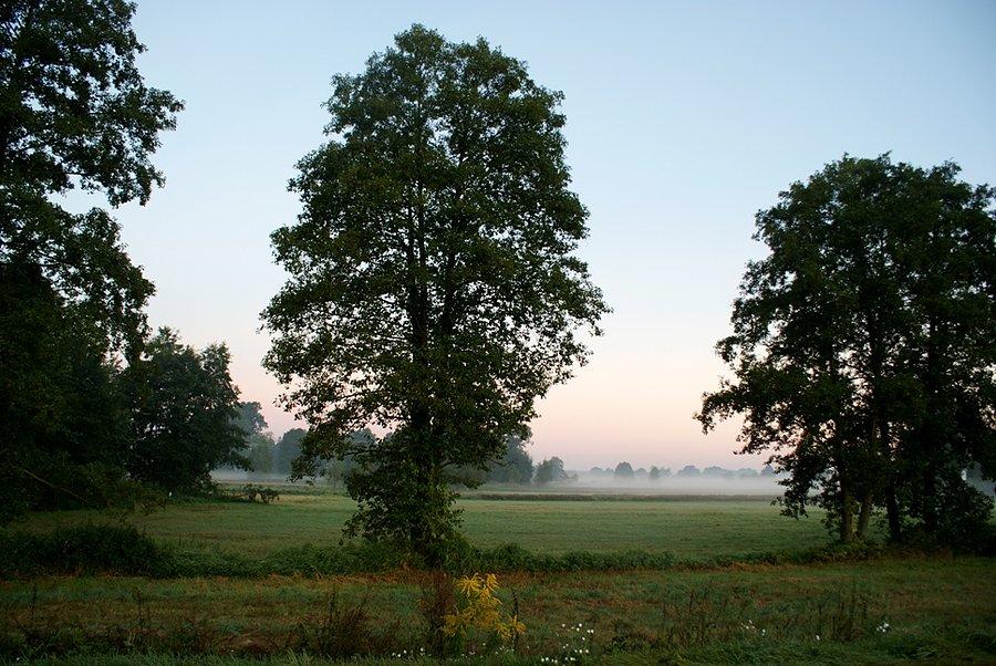 Nad Piasecznicą