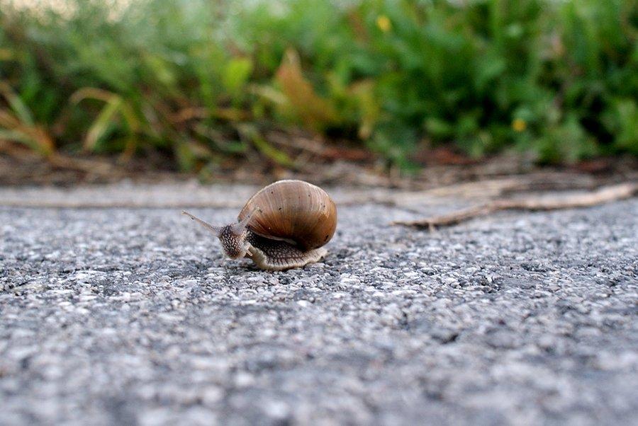 Dzień dobry. Co dziś jemy na śniadanie?