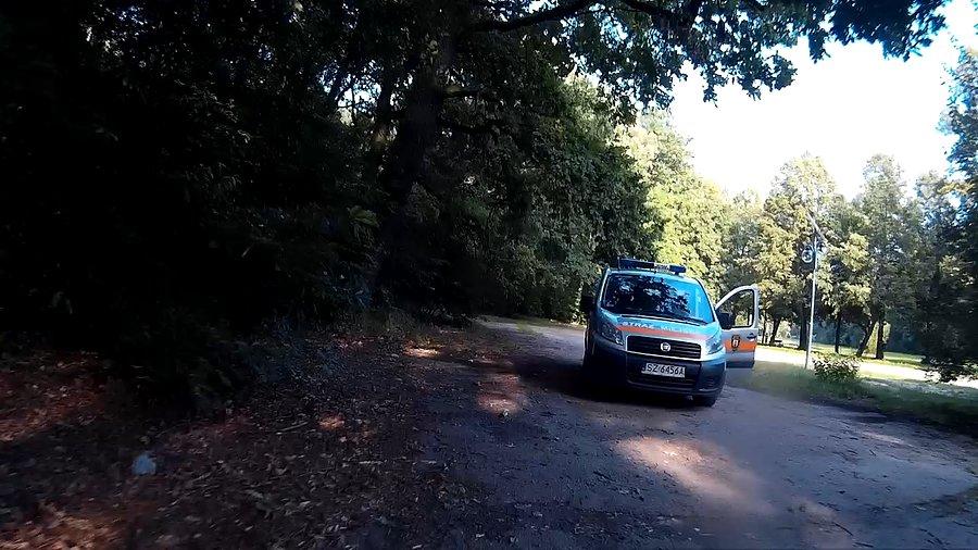 A Straż Miejska co tutaj robi?