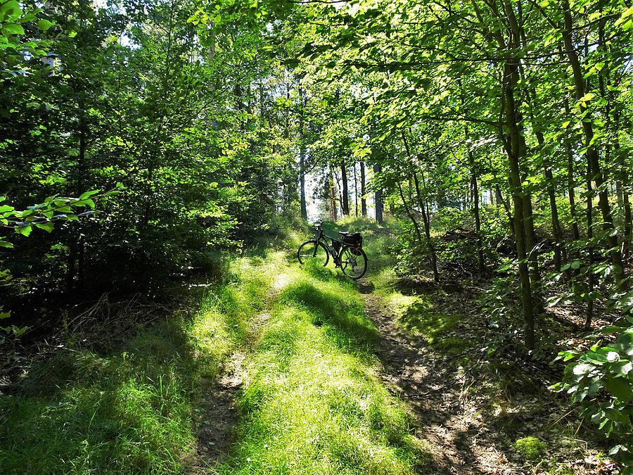 Tczew i jego okolice