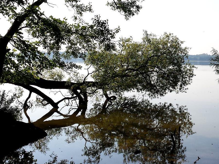Widok na jezioro za Wierzchlądem