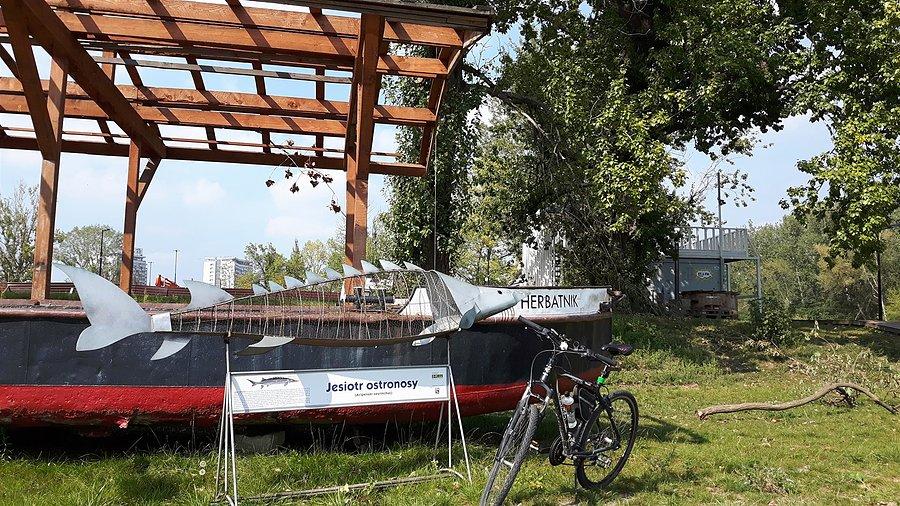 Instalacja(?) w Porcie Czerniakowskim
