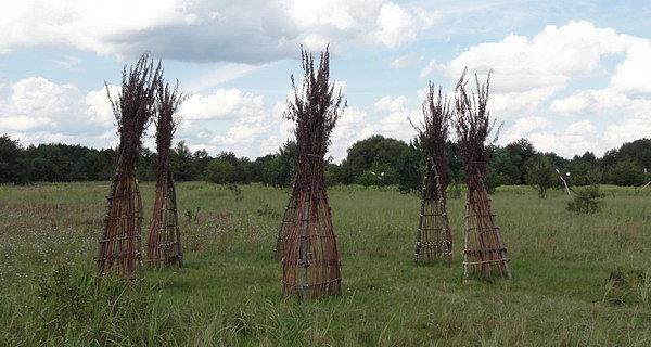Ala Savashevich (BY) / Pod dachem (VI Land Art Festiwal)