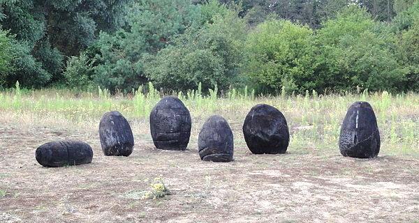 Lucia Loren (ES) / Displacement (VI Land Art Festiwal)