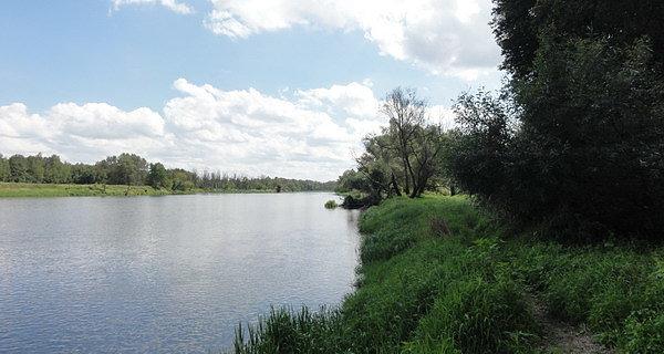 Ścieżką wzdłuż Bugu aż do wsi Bubel Łukowiska