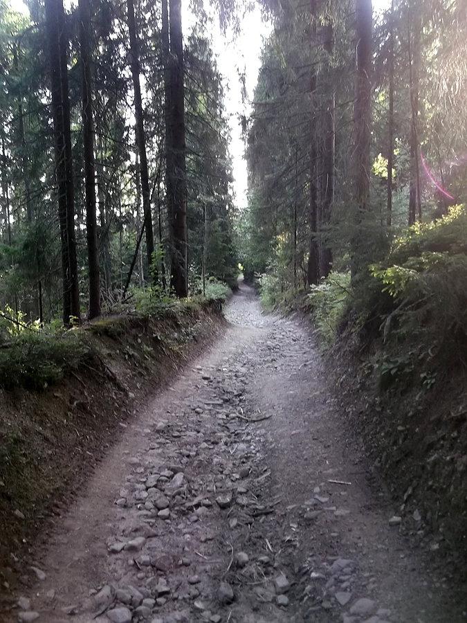 Niebieski na Obidową. Takie kamienie są OK