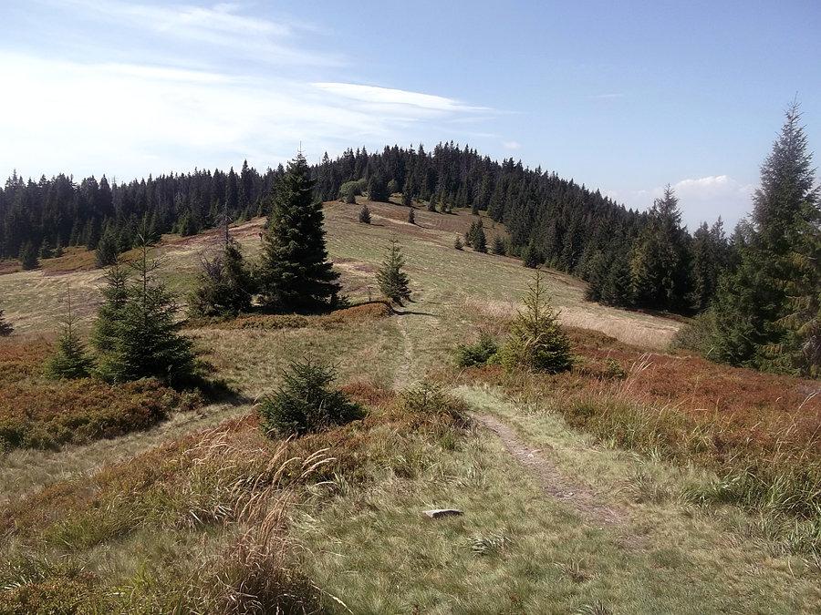 Fajna ścieżka