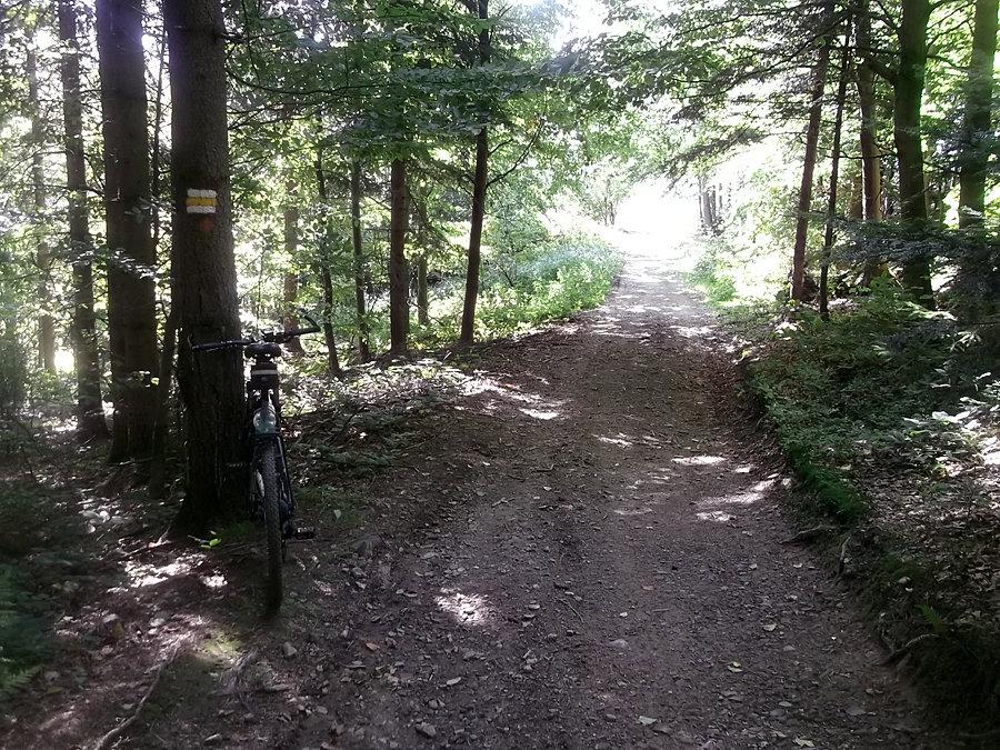 Na szlaku