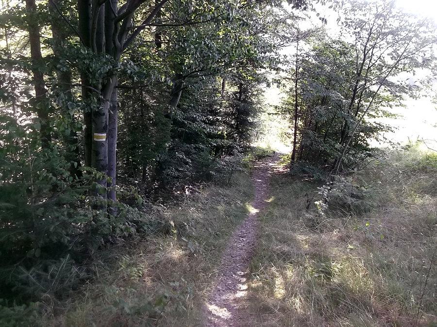 Na szlaku. Kawałek ścieżką