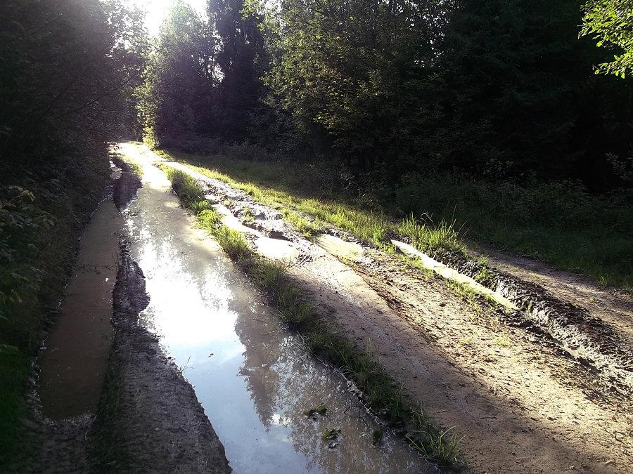 Jedna z "wiecznych kałuż". Lepiej obejść