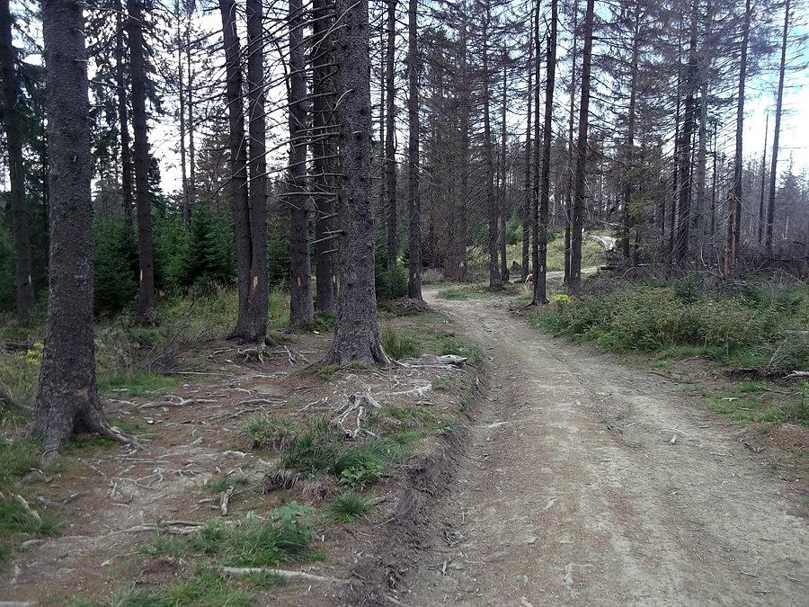 Czerwony pieszy/czerwony rowerowy - Główny Szlak Beskidzki