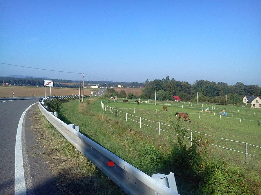 Dolne Toszanowice
