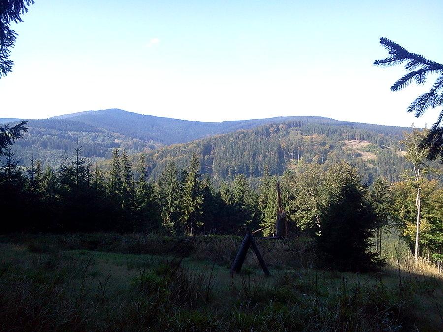 Podmokły teren i wał