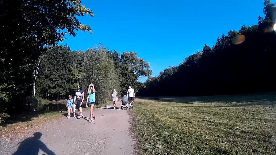 Slalom między pieszymi w lasku Makoszowskim