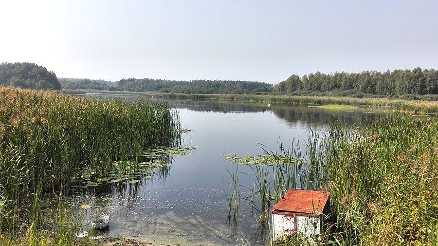 Świat się zmienia 15