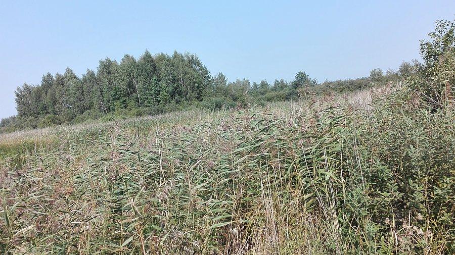 Świat się zmienia 16