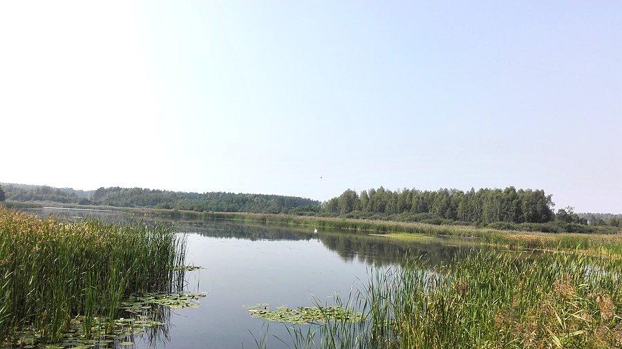 Świat się zmienia 17