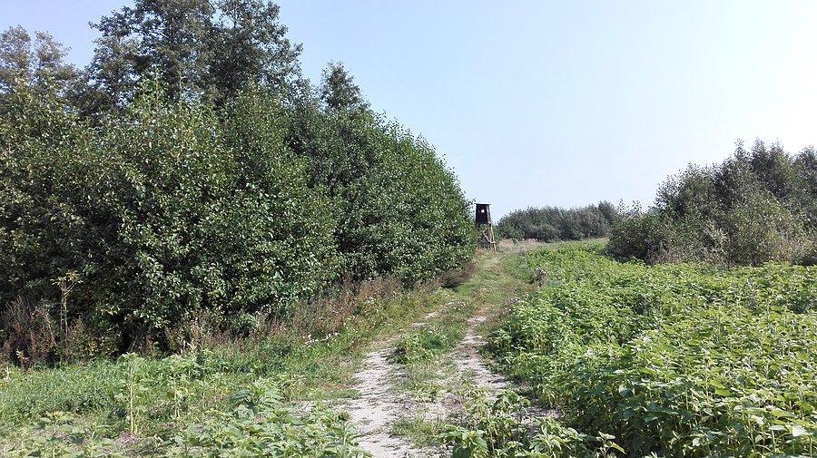 Świat się zmienia 19