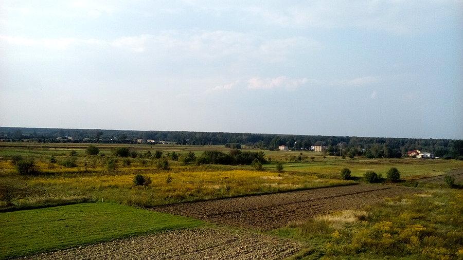 Widok 1