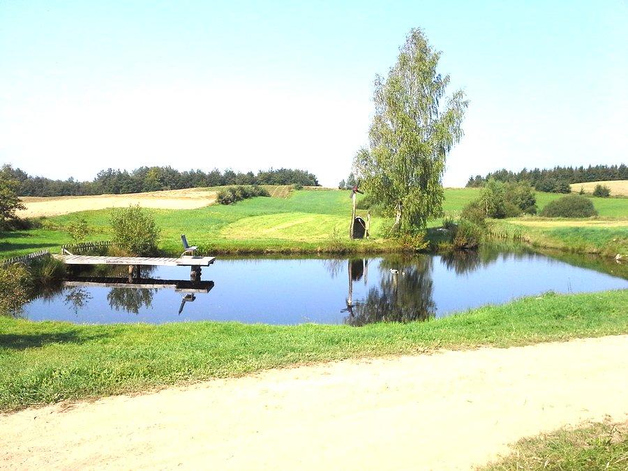 Szutry, trochę wody, pola i w oddali lasy