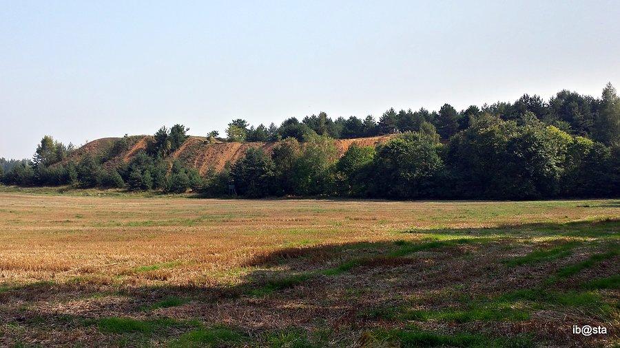 Hałda popłuczkowa