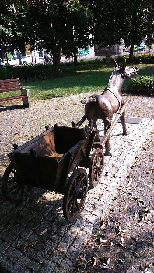 "PSIKUS" na ryneczku we Wronkach