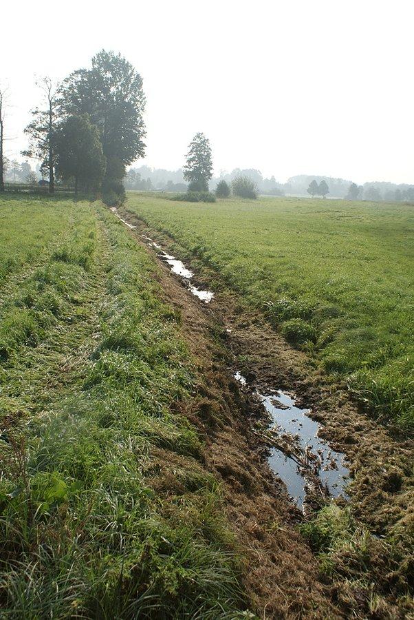 Rzeczka Krzemionka