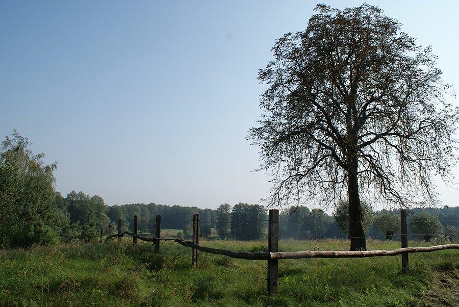 Na wzniesieniu