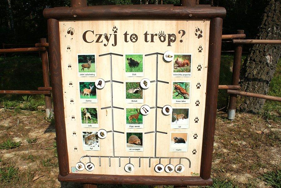 Czyj to trop?