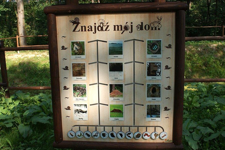 Znajdź mój dom