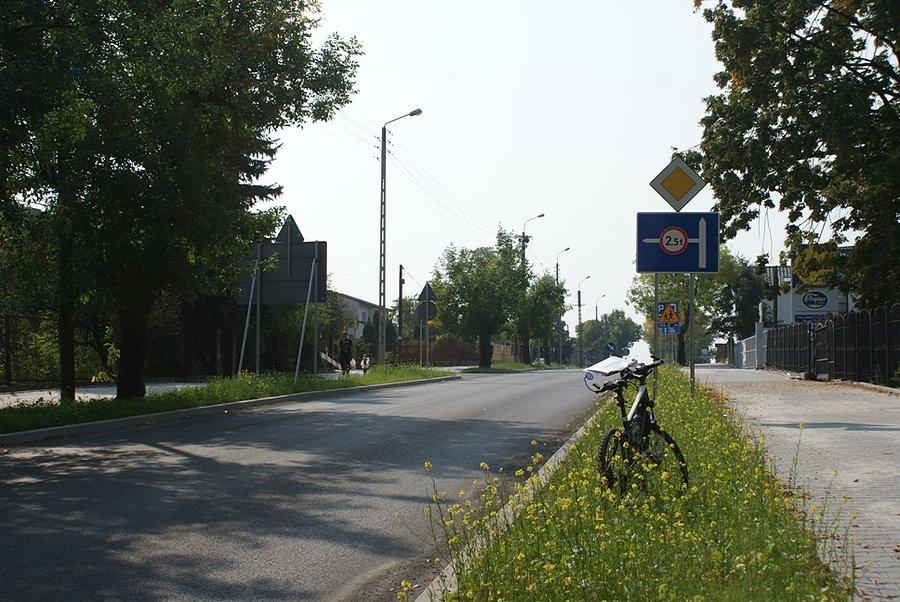 Halo, Bocian!!!! Parkujesz na pasie zieleni?