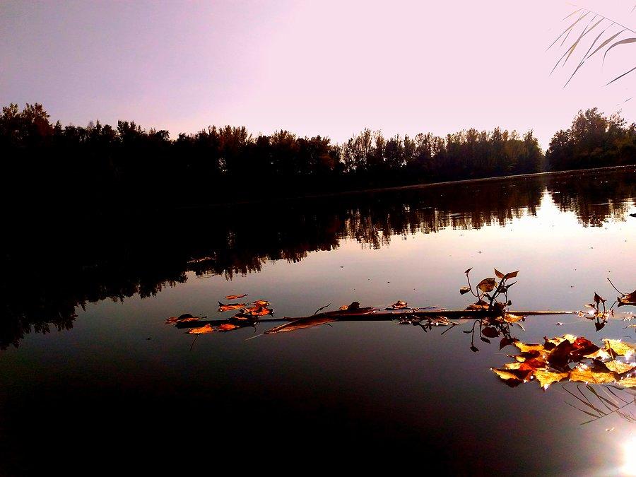 Staw w Antošovicach