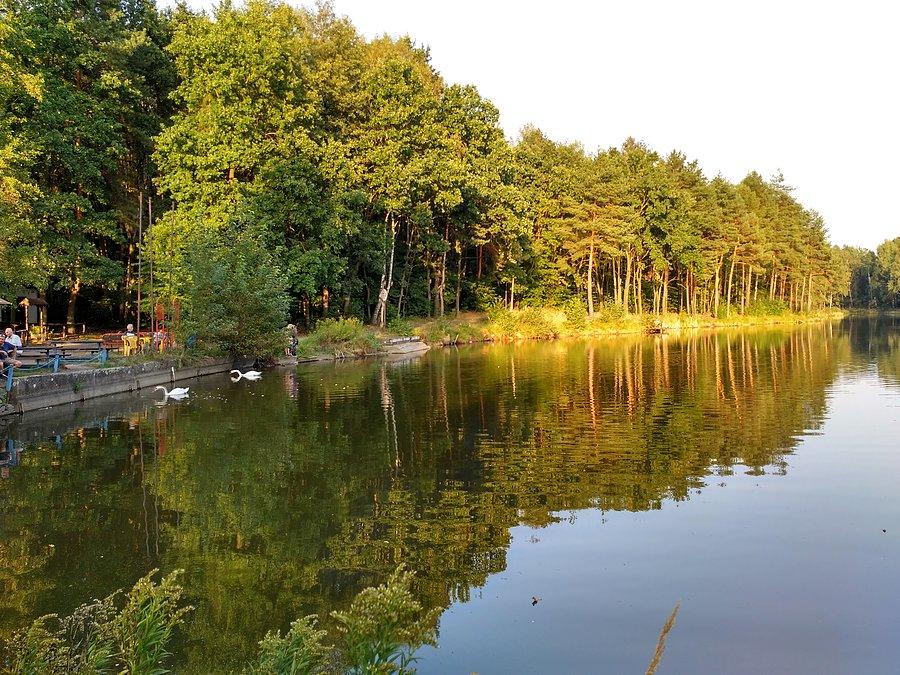 Staw księżycowy