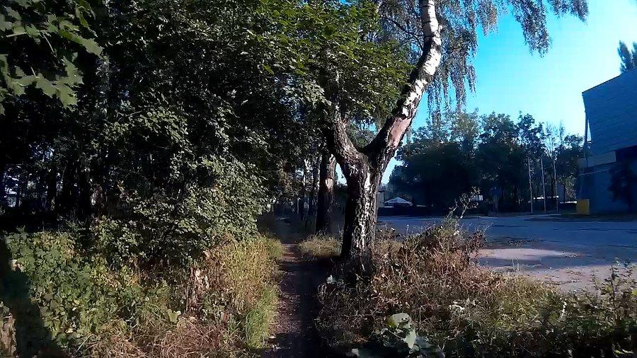 Wąskie ścieżki