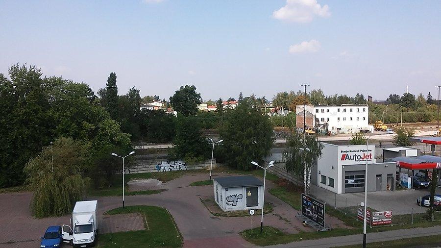 Pabianice, tory ogólne
