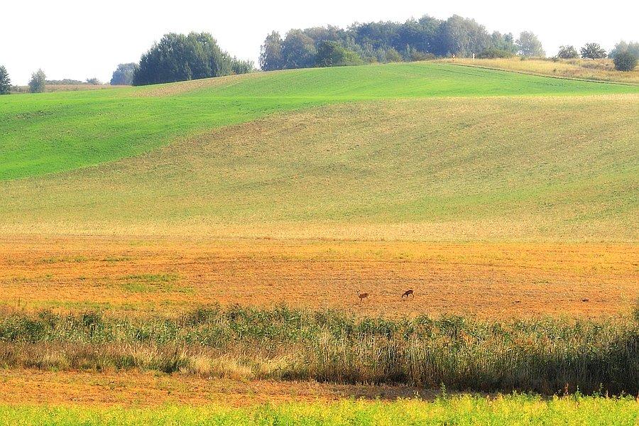 Meklemburgia i jej mieszkańcy