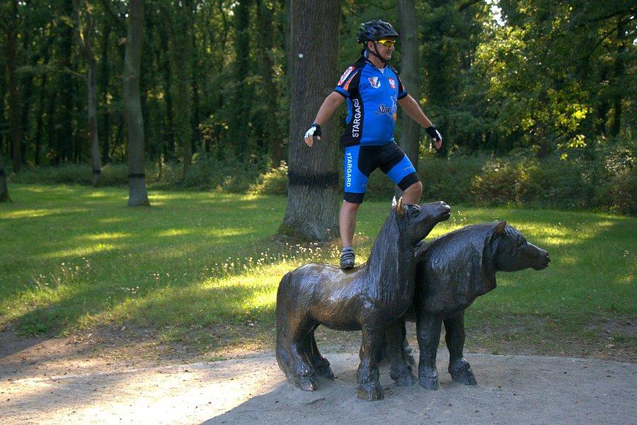 Woltyżerka :)