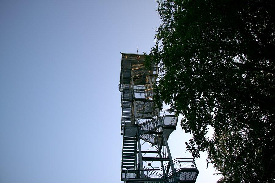 Wieża widokowa