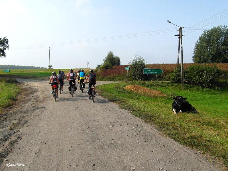 Kierunek Lubań