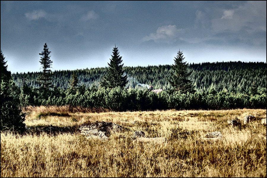 Chatka Górzystów w oddali