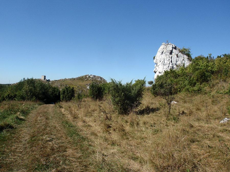 Skałki w Olsztynie