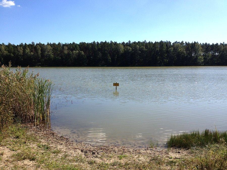 Jezioro Długie w Puszczy Noteckiej / między Kwiejcami a Piłką