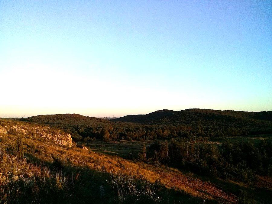 Łysy nad Sokolimi